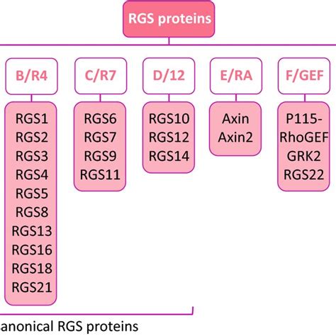 Open RGS File 的图像结果
