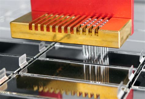 Peptide Microarray Applications 的图像结果