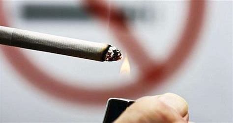 遏制烟草流行新趋势_理性控烟 _烟草在线—吸烟有害健康！