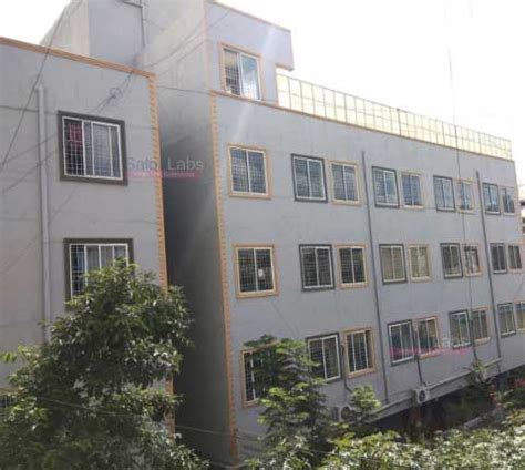 Remy Hair Extensions & Wigs | Manufacturers & Exporters | SalonLabs ...