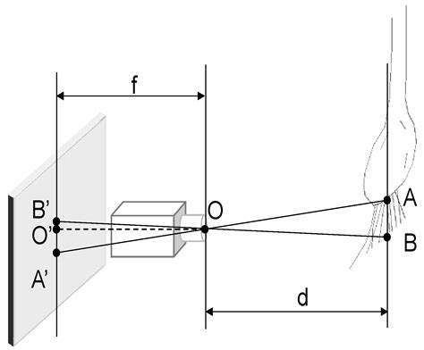 Design of a Machine Vision-Based Automatic Digging Depth Control System ...