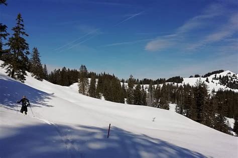 Outdoor Nature Experiences - Zurich | Tripadvisor