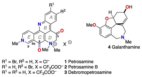 Petrosamine Revisited. Experimental and Computational Investigation of ...