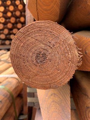 Image result for Round Threaded Post