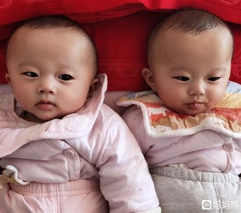 2020双胞胎男孩取名大全取名大全_免费取名网