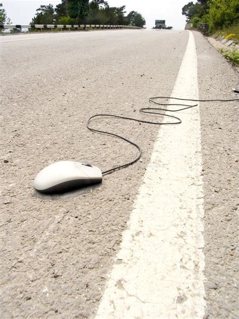 Image result for Python Mouse Walk