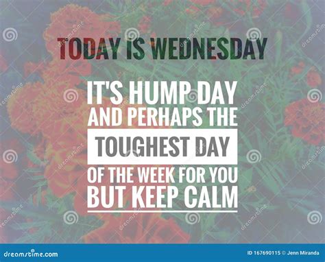 Wednesday Hump Day Quotes