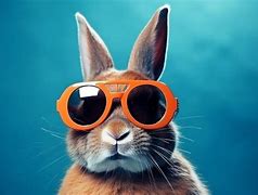 Image result for Pic Cute White Little Bunny