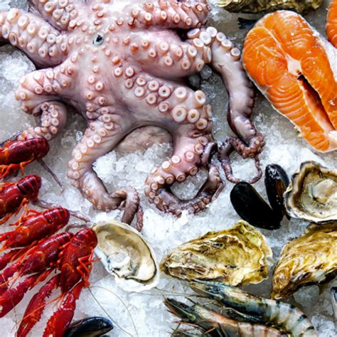 Online Meat & Sea Food Inc – Premium Meat & Seafood
