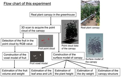Monitoring the Growth and Yield of Fruit Vegetables in a Greenhouse ...