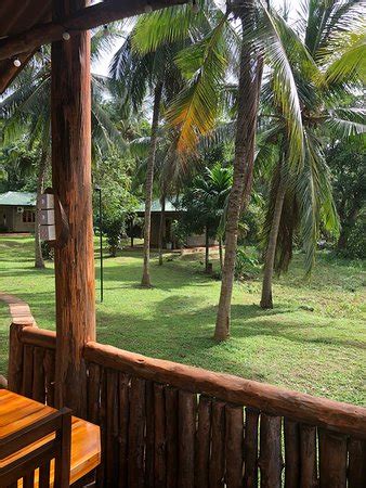 YONAN RIVER FACE SAFARI RESORT (Sri Lanka/Udawalawe National Park ...
