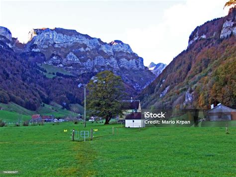 Alps Encoder 的图像结果