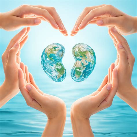 Dhritri Sanrakshan Foundation – Protecting Nature & Wildlife