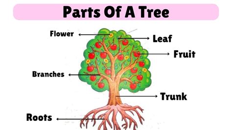Image result for Tree Structure HTML/CSS
