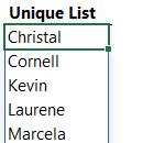 Unique List Excel 的图像结果