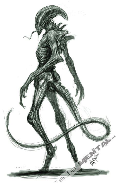 Image result for Alien vs Predator Sketches