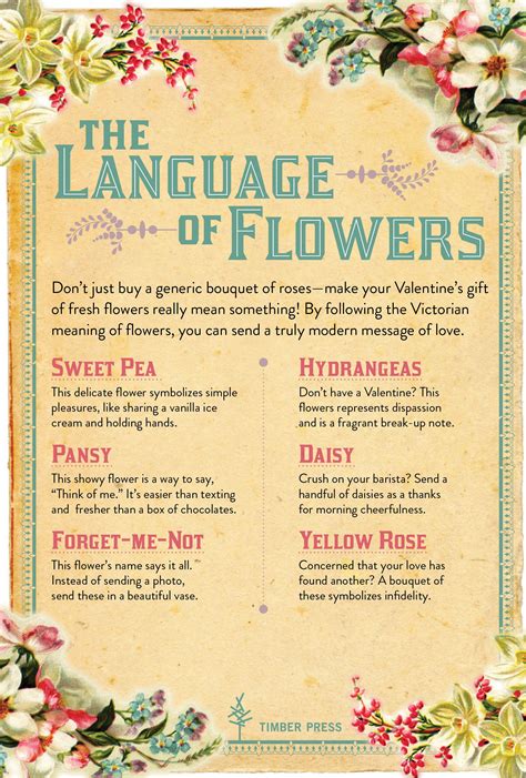 Modern Message of Love: The Language of Flowers