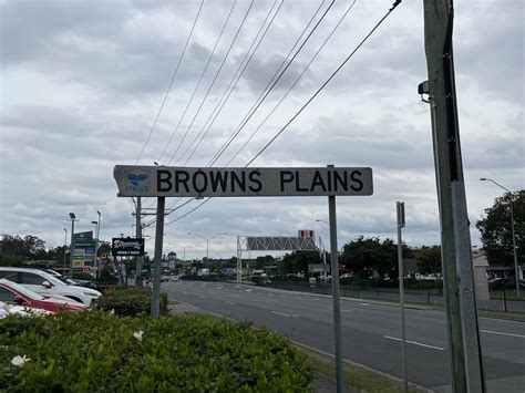 Termites and Pests in Browns Plains - bite of india browns plains menu