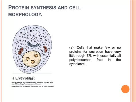 General morphology of the cell | PPTX