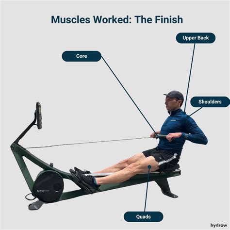 Image result for Rowing Machine Work Core