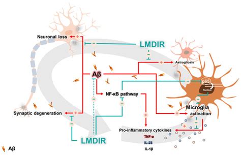 Neuroprotective and Anti-Inflammatory Effects of Low–Moderate Dose ...