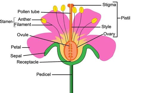 Image result for Circular Functions Examples