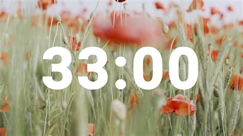 33 Minute Timer with Relaxing Music and Alarm, Countdown Clock for ...