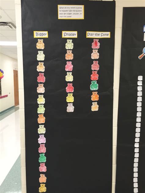 Kindergarten Experiments 的图像结果