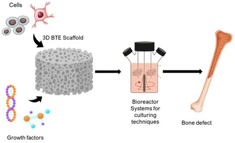 Advances in Computational Modeling of Scaffolds for Bone Tissue ...