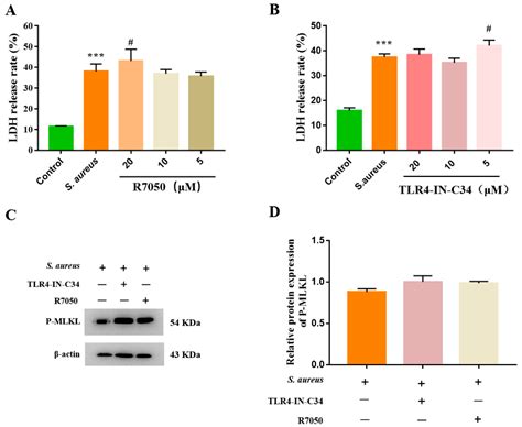 Staphylococcus aureus-Induced Necroptosis Promotes Mitochondrial Damage ...