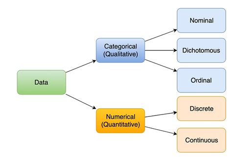 Types of Variables - Definition