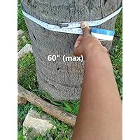 RTECH Palm (Jaffna/Palmyra) Tree Climber Machine, Multi Tree Climber XL ...