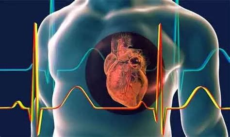 CAD and CMD common in HFpEF patients and may serve as therapeutic ...