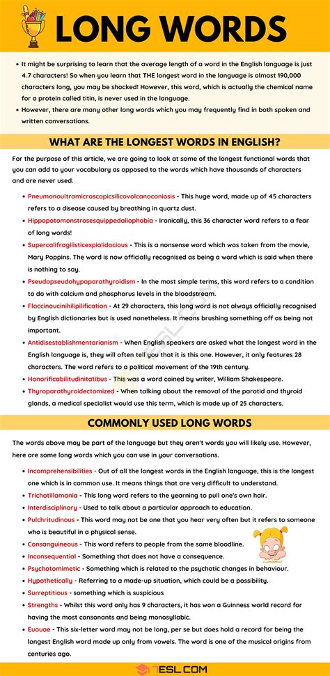 The Longest Words in English: 19 Unusually Long Words