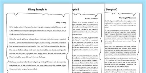 Image result for Diary Writing Examples