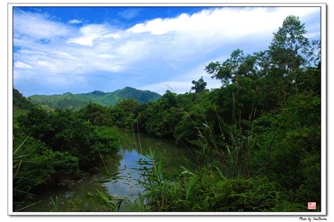 【小河淌水摄影图片】阳春风光摄影_太平洋电脑网摄影部落