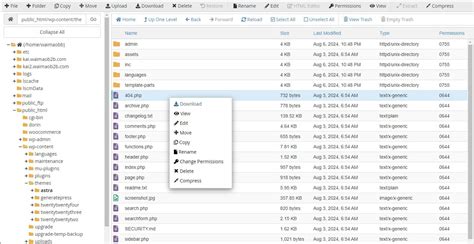 cPanel File Manager 的图像结果