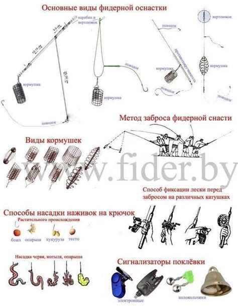 Ловля на фидер:оснастки, секреты, пошаговая инструкция для начинающих с ...