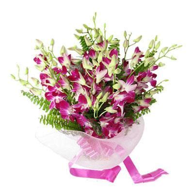Orchid Bunch