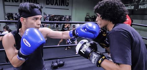 Boxing Sparring 的图像结果