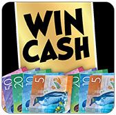 spin winner freecash competitions,Look no further