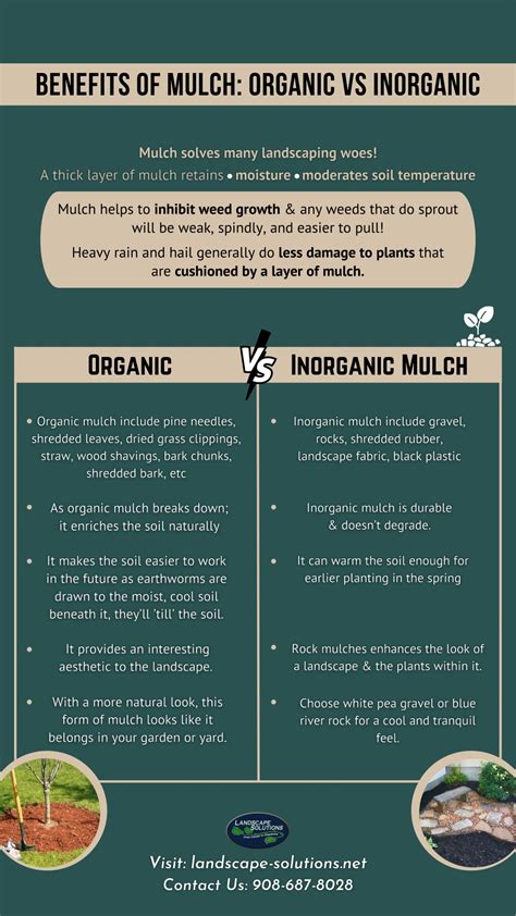 PPT - The Benefits of Mulch Organic vs Inorganic PowerPoint ...