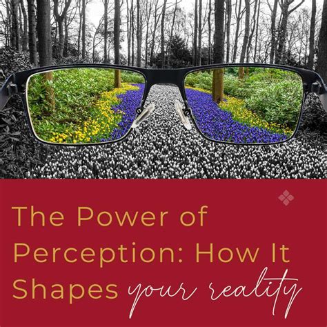 The Power of Perception: How It Shapes Your Reality