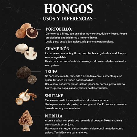 Hay distintos tipos de hongos y se usan para distintas cosas: te ...