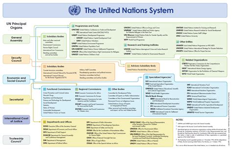The United Nations System and Specialized Agencies | United nations ...