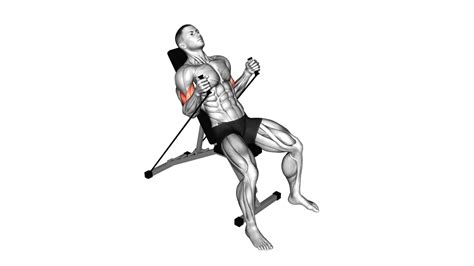 Incline Hammer Curl: Ultimate Guide & Tips - Video Exercise