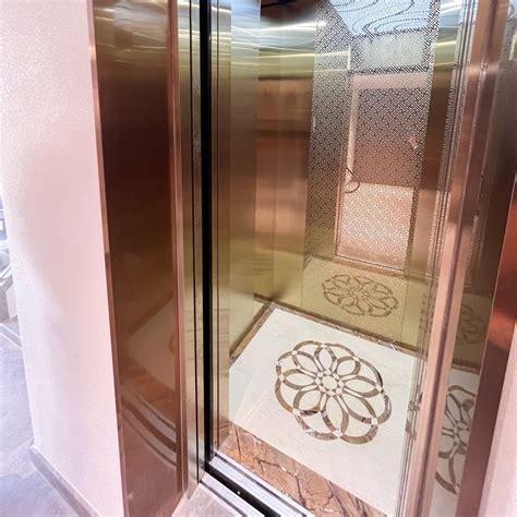 Customizable Hydraulic Home Elevators Cost-Effective Outdoor Residential Elevator Solutions ...