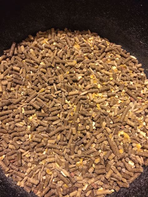 Game Feed Market Research Report 2019-2025 — Teletype