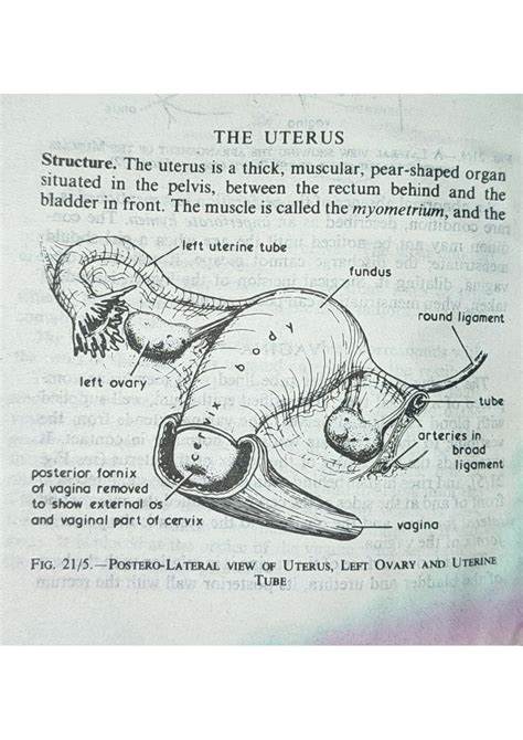 Anatomy Overview: Key Concepts and Terminology - Studocu