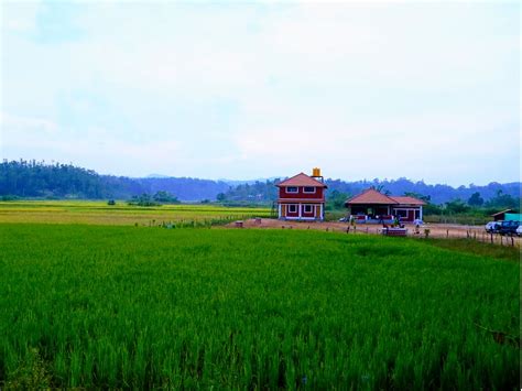 Nampara Cottage, Sakleshpur - Homestay Advisor